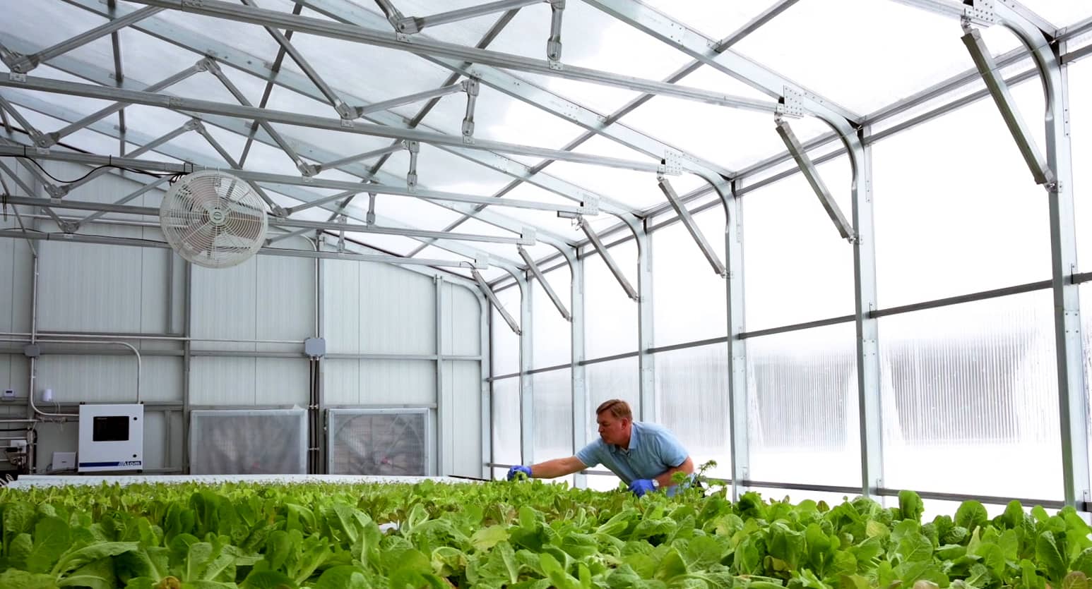 4 Top Considerations When Selecting a Greenhouse Covering