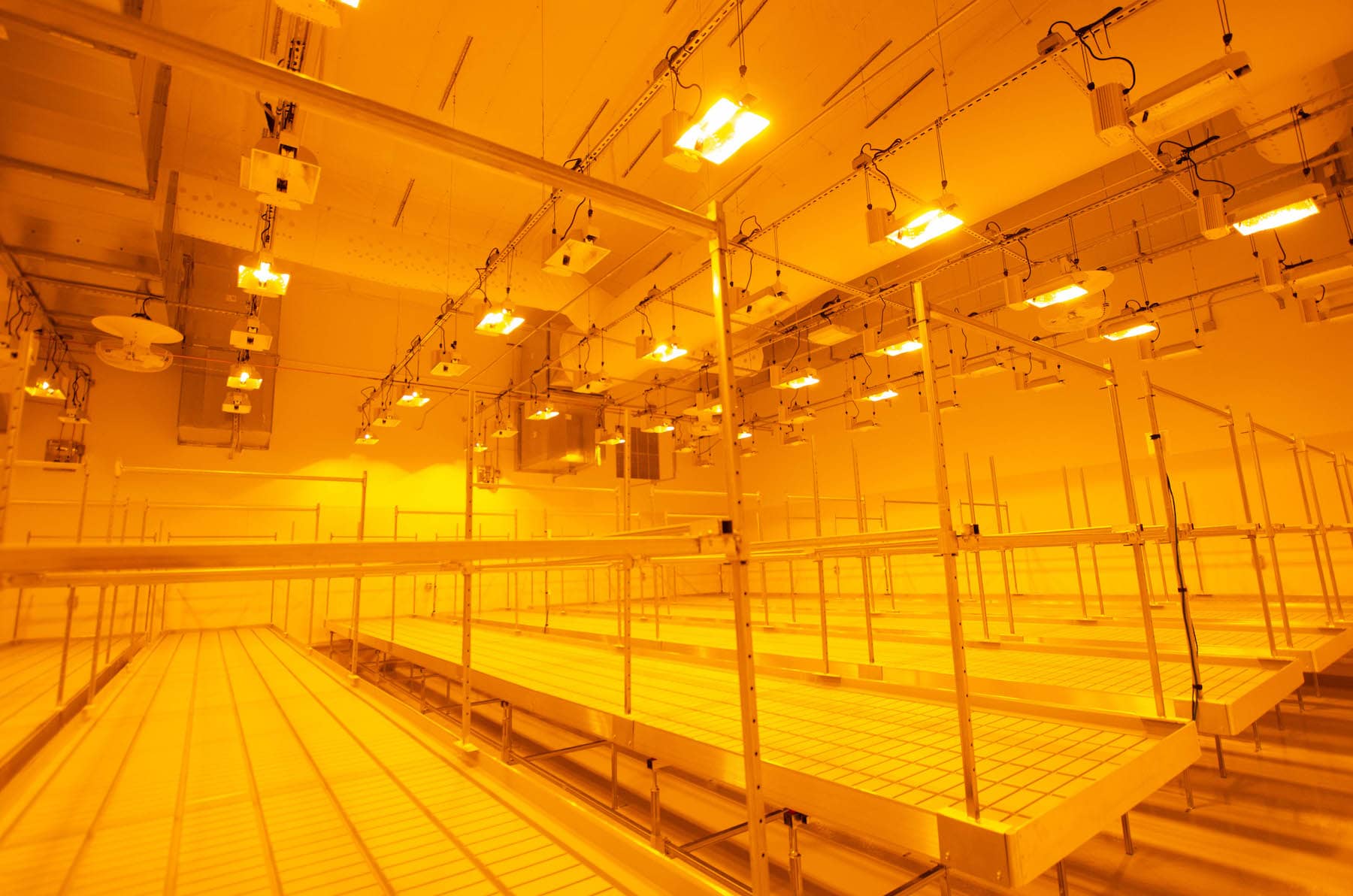 Reduce Light Spillage with Efficient Facility Design
